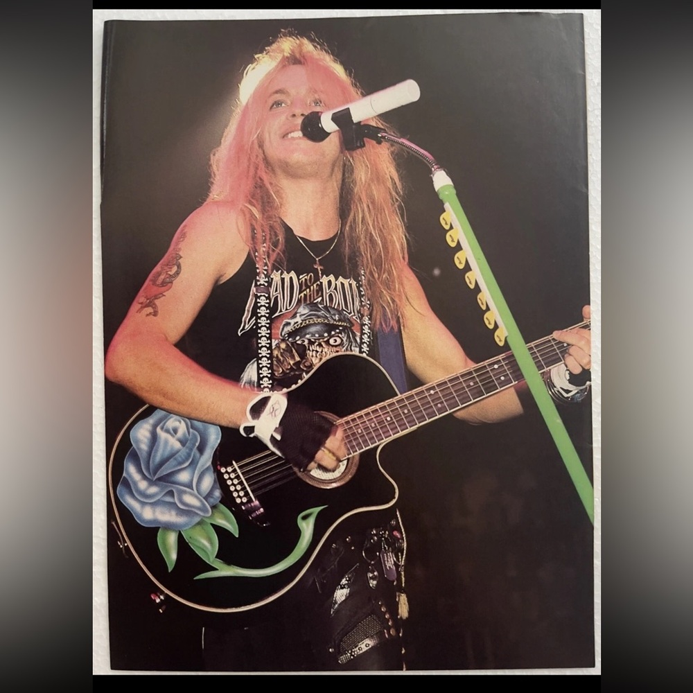 Rockstar Bret Michaels Pinup